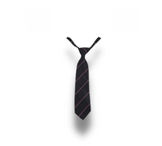Senior Blouse Tie MCSHS