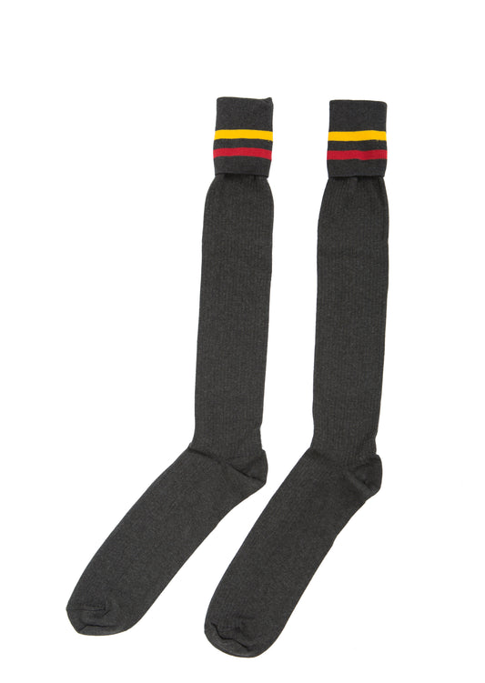 Boys Knee Hi Sock  MSSC