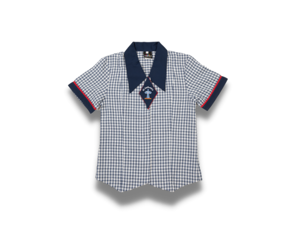 Formal Blouse St Anthony's