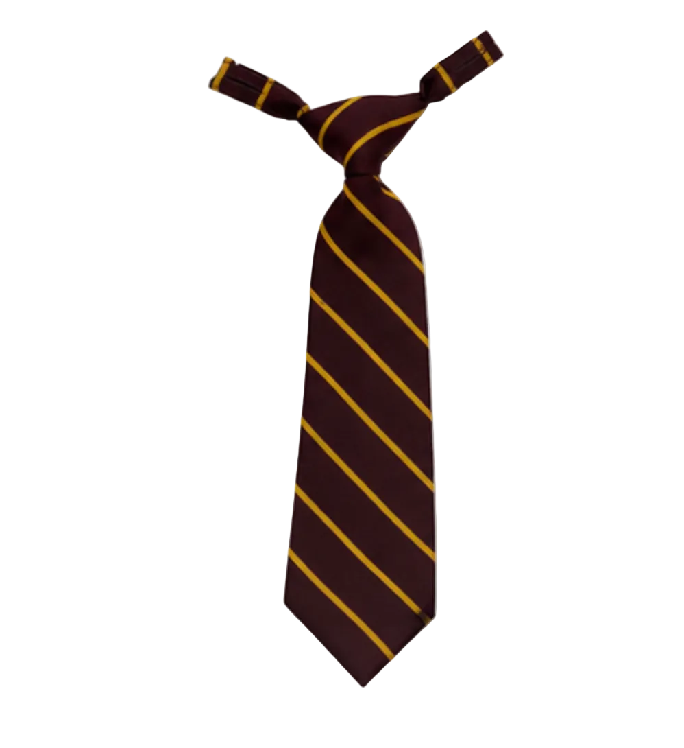 Formal Snr Girls Tie  SDSHS