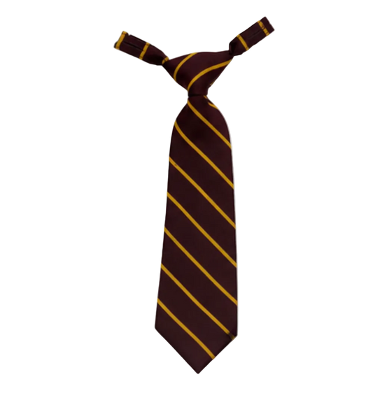 Formal Snr Girls Tie  SDSHS