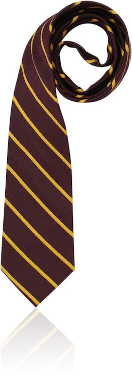 Formal Snr Boys Tie  SDSHS